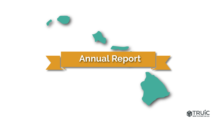 Hawaii LLC Annual Report Image