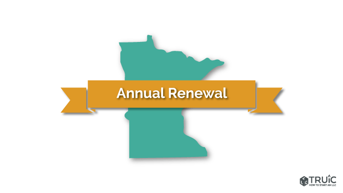 Minnesota LLC Annual Report Image