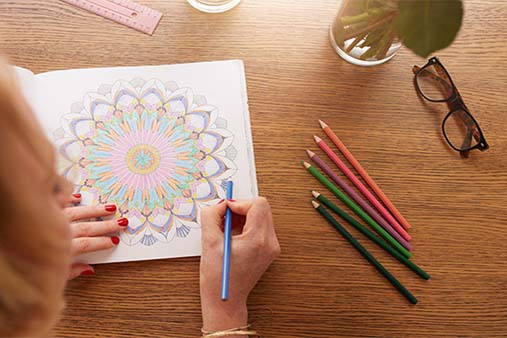 Adult Coloring Book Company Image