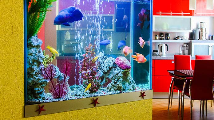 Aquarium Maintenance Business Image