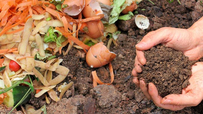 Compost Business Image