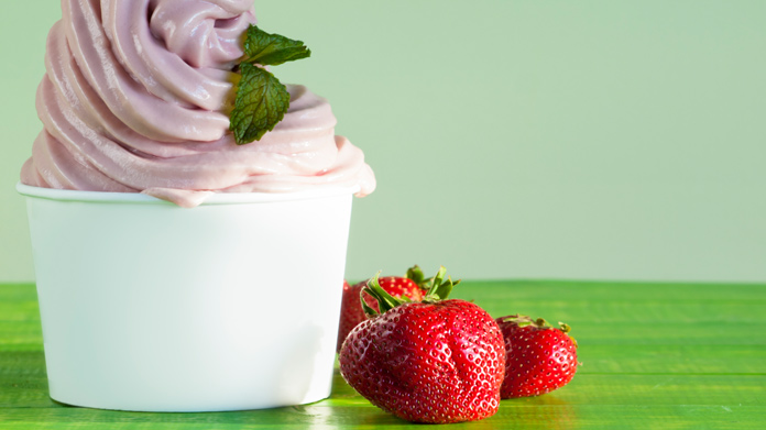Frozen Yogurt Business Image