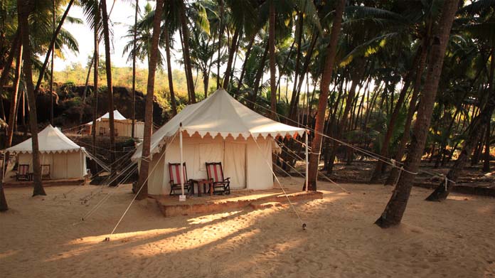 A luxury tent set up among palm trees