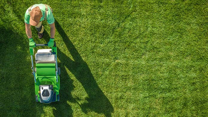 An Llc For My Lawn Care Business, Is Landscaping A Good Business To Start