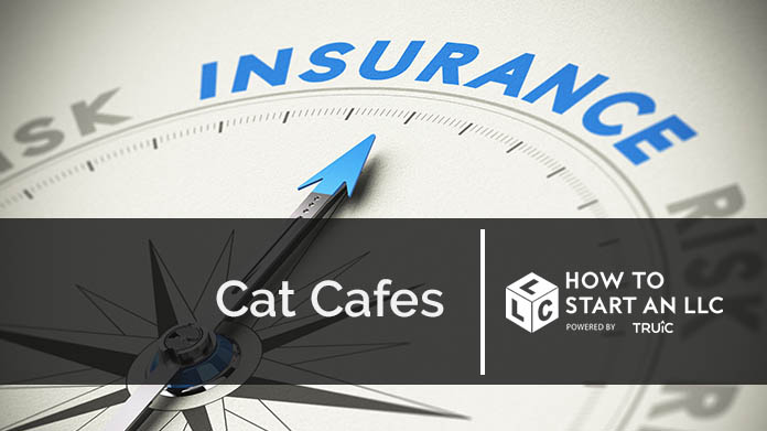 Business Insurance for Cat Cafes
