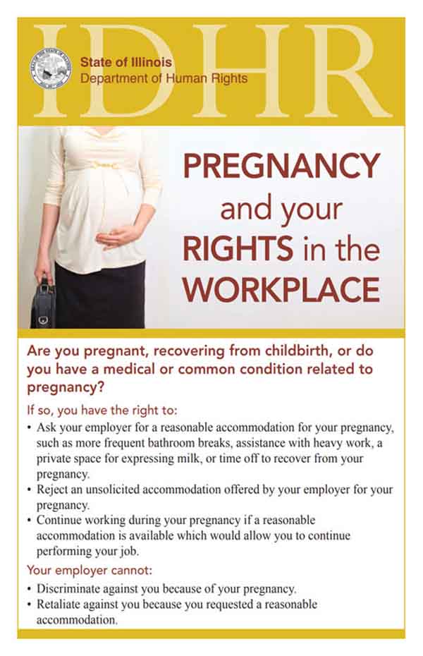 Maternity rights temporary job
