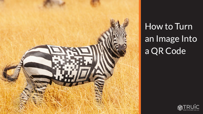 Zebra with a qr code on its side.