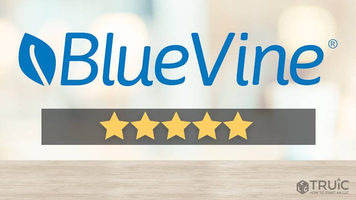 BlueVine Business Checking Review Image