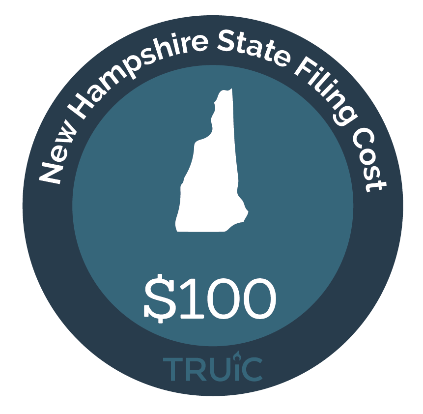 New Hampshire State map icon with filing cost