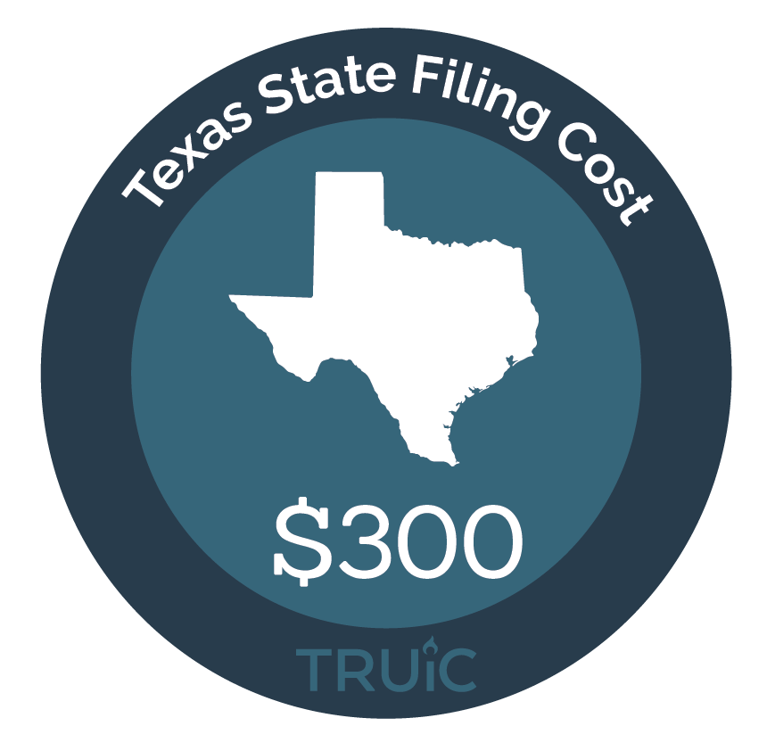 LLC Annual fees Texas