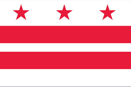 District of Columbia Flag Icon